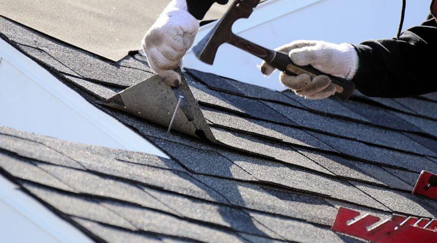 Professional gutter cleaning in Willard, NC